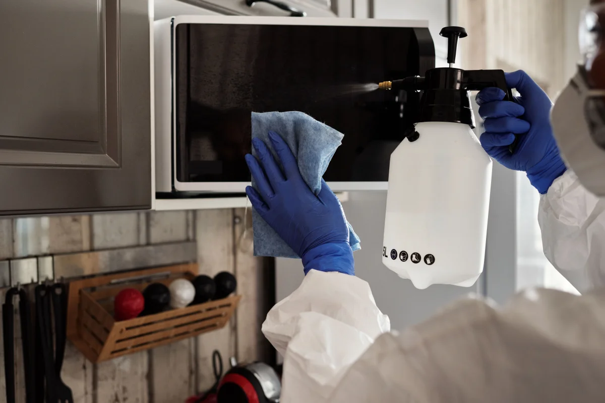 microwave cleaning inside sparkling clean - Cozyner