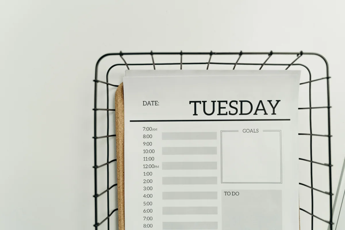 weekly cleaning schedule planner checklist - Cozyner